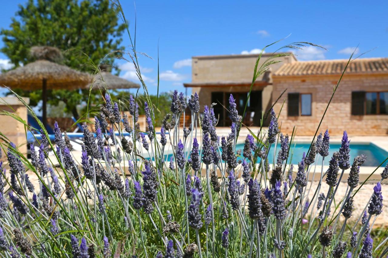 Finca Tiana Ses Salines  Zewnętrze zdjęcie