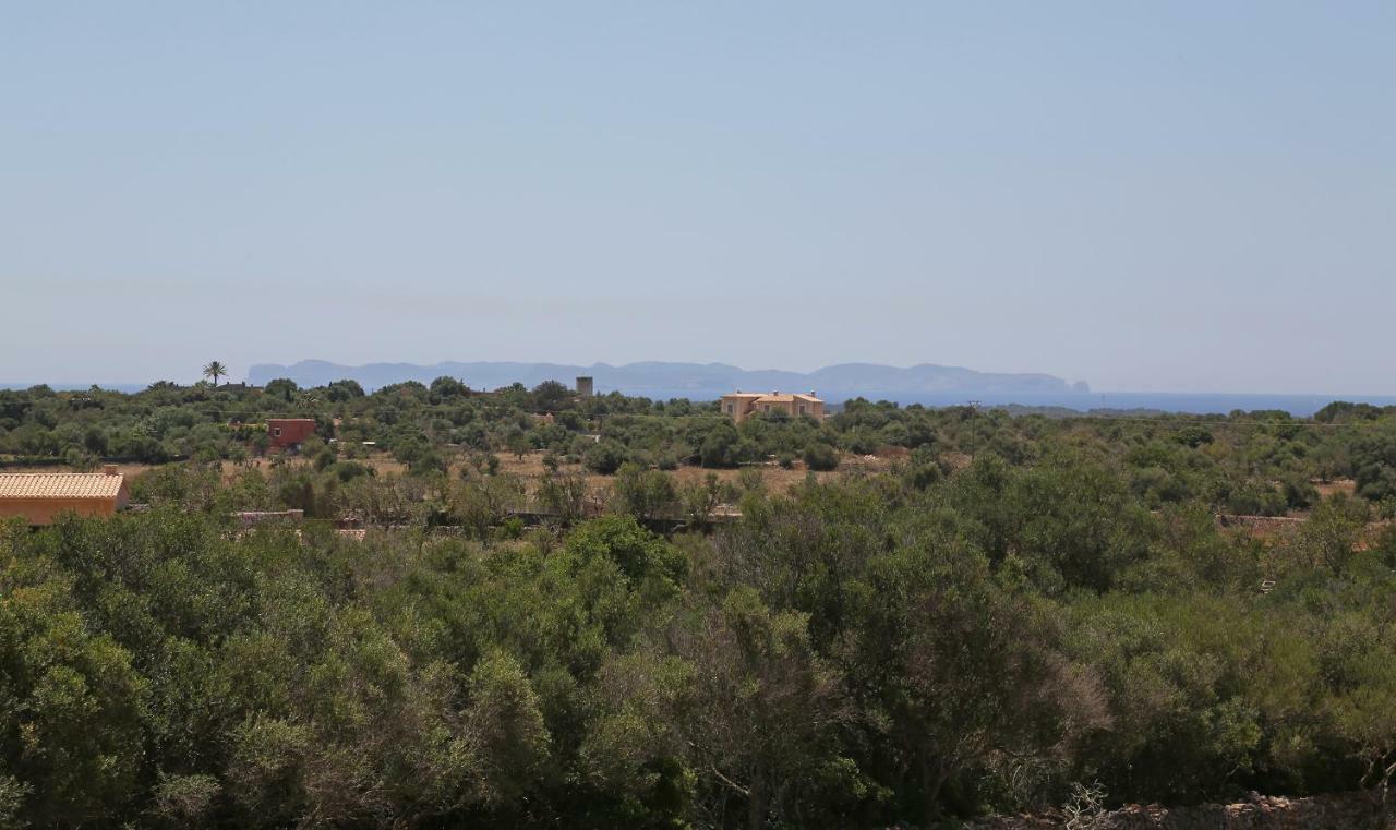 Finca Tiana Ses Salines  Zewnętrze zdjęcie